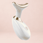 Dolphin Facial Lifter - Rodammy
